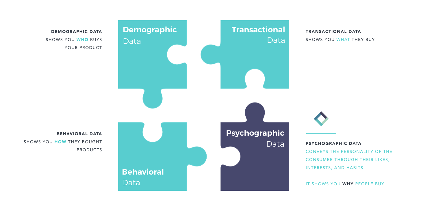 data puzzle psychographic data