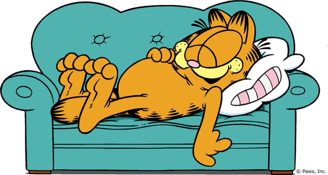 Lazy Garfield.jpg