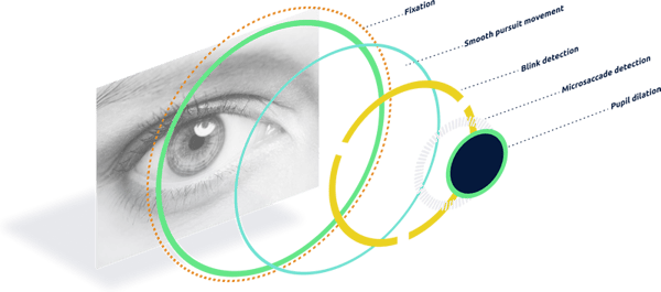 the customer-centric mindset eye-tracking EyeQuant