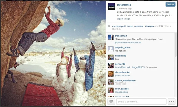 patagonia IG ad psychographic segmentation